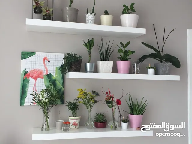 إيطاجير تمكنكم من تخزين أواني المطبخ أو مستلزمات الحمام بطريقة أنيقة و جدابة