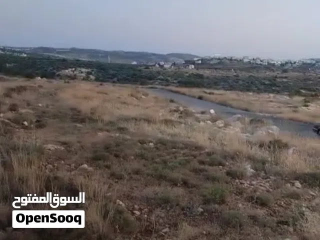 ارض للبيع في دير بزيع مساحه 14 دولم و كوشان طابو وسلطه على شارع الزفته