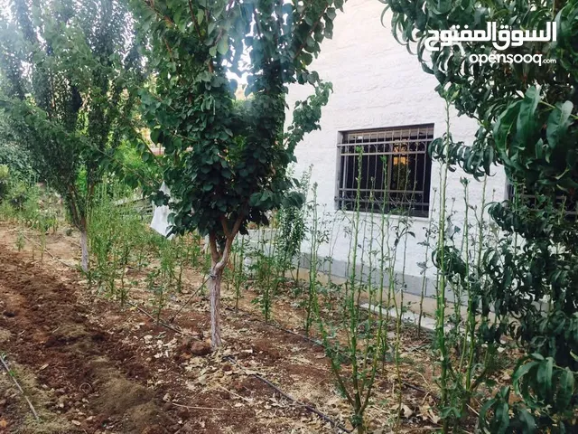 600 m2 3 Bedrooms Townhouse for Sale in Amman Safut