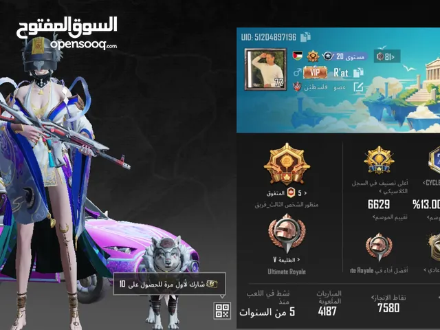 Pubg Accounts and Characters for Sale in Zarqa