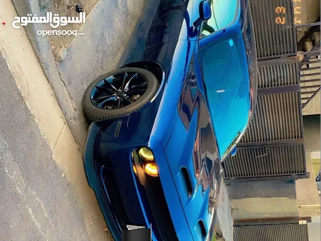 جالنجر للبيع