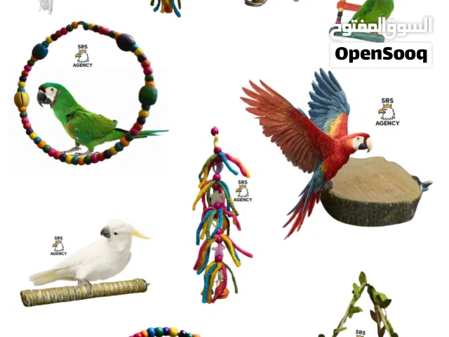 عروض قوية على ألعاب الطيور