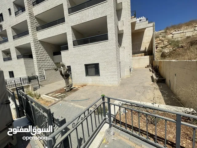 مرح صافي بال فايندر