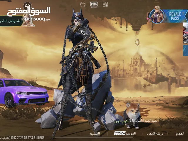 Pubg Accounts and Characters for Sale in Mafraq