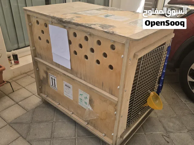pet crate excellent condition
