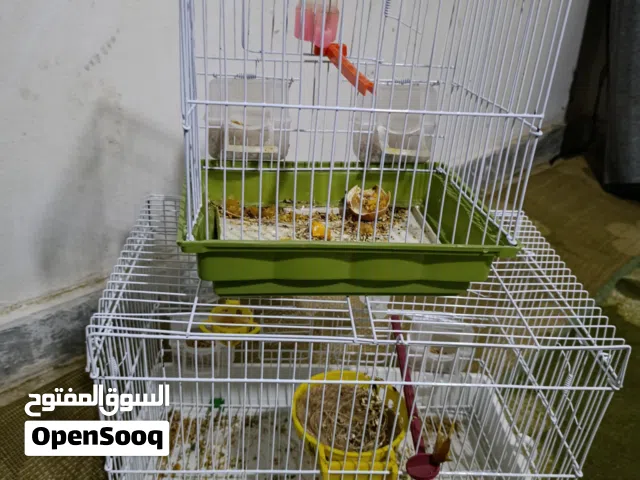 اقفاص للبيع