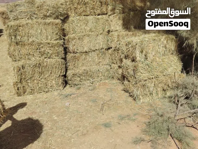 قضب اول حصدة مخلط بشعير بالنعمة