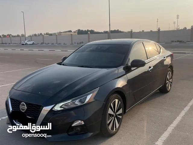 التيما 2019 SL