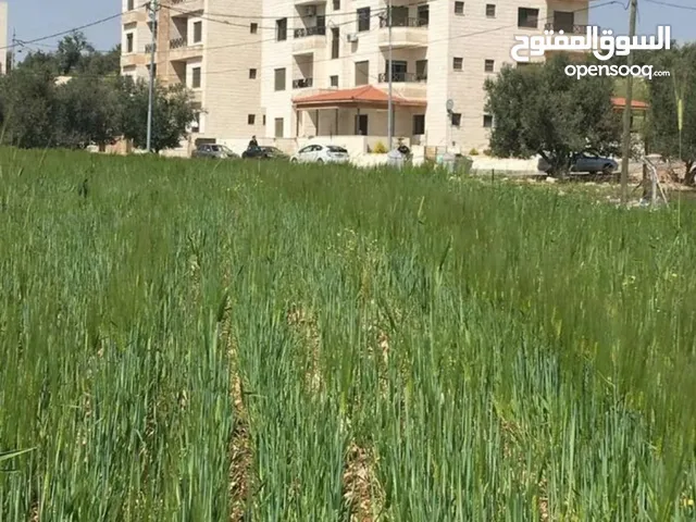 60 m2 1 Bedroom Apartments for Rent in Madaba Other