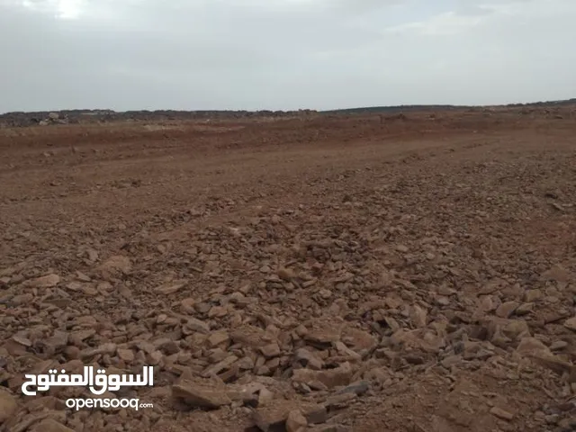 Farm Land for Sale in Saada Other