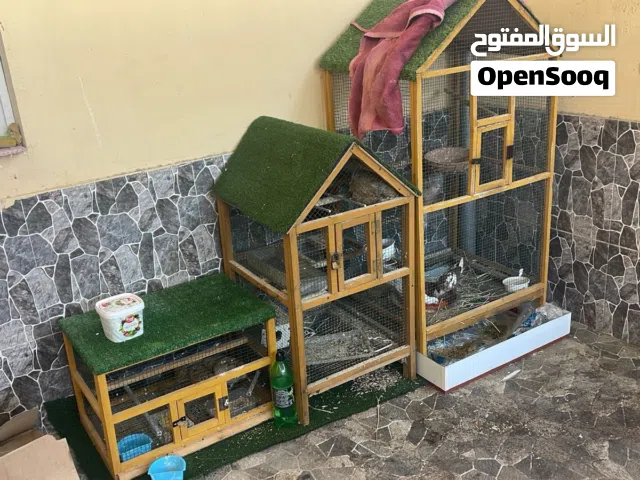 للبيع ثلاث أقفاص نظاف أستخدام بسيط