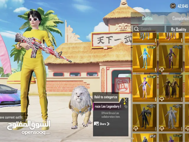 Pubg powerful account