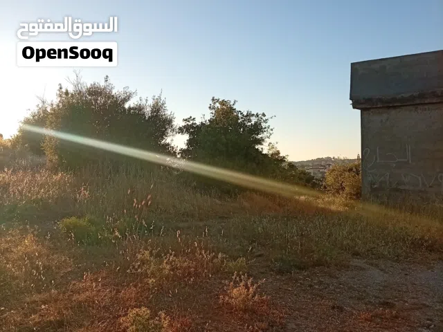 Residential Land for Sale in Ajloun I'bbeen