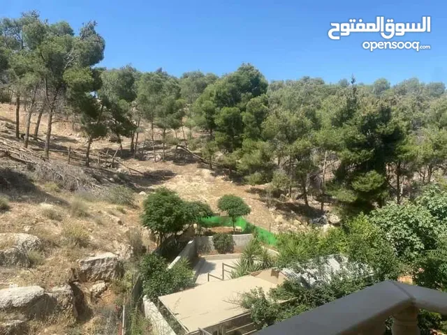 185 m2 3 Bedrooms Apartments for Sale in Amman Shafa Badran