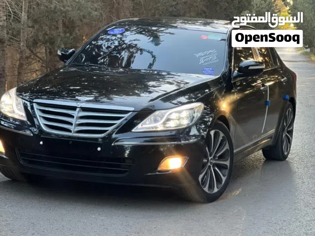 2010 جينيسيس اخرى