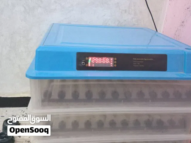 فقاسه صينيه درجه ممتازة  اقرا وصف