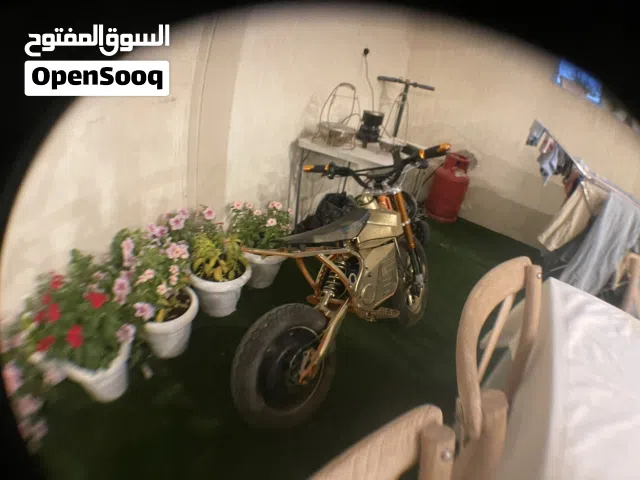 Electric dirt bike motorcycle