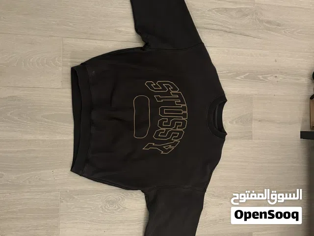 Stussy College Logo Hoodie (sweater)
