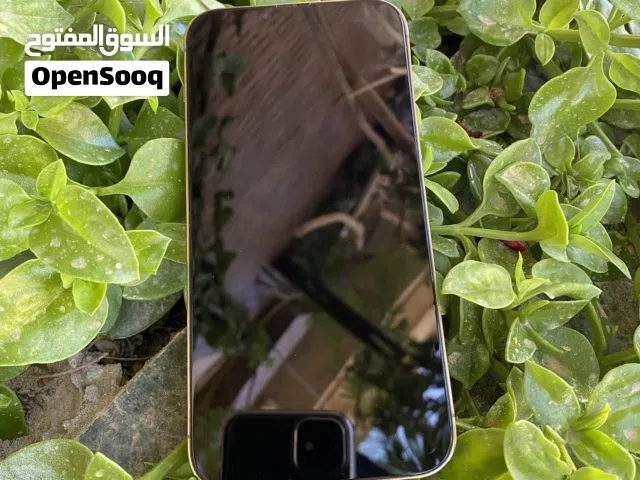 iPhone 13 Pro ماكس