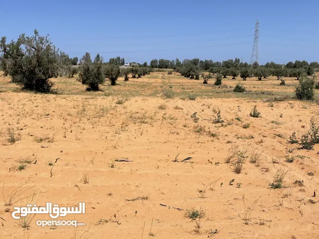 Mixed Use Land for Sale in Tripoli Gasr Garabulli