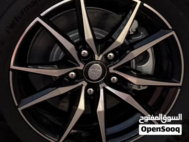 تخم ويل كب قياس 16 بس مفتوح يوم واحد