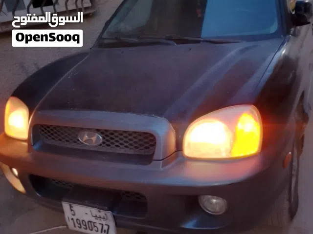 2004 Hyundai Santa Fe Limited