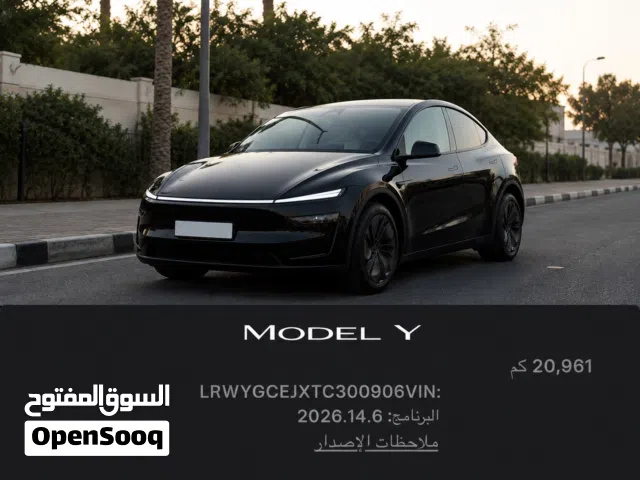 2026 تيسلا موديل Y Long Range