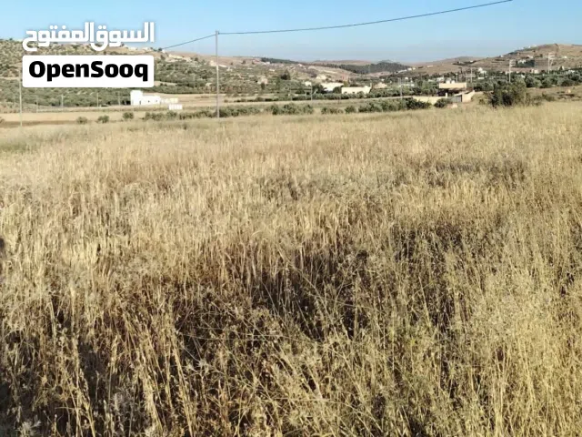 Mixed Use Land for Sale in Mafraq Nadira
