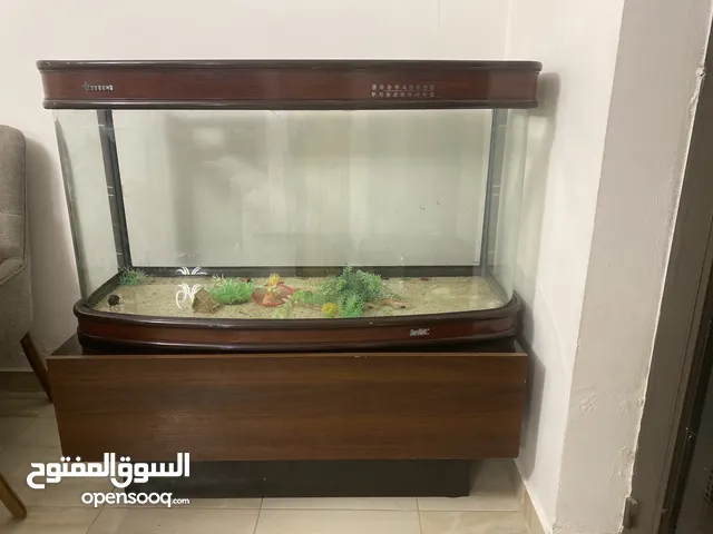حوض سمك كبير