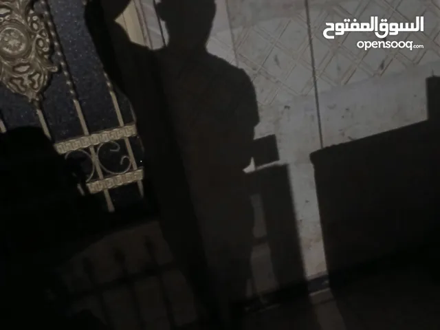 بيتبول بيتبول