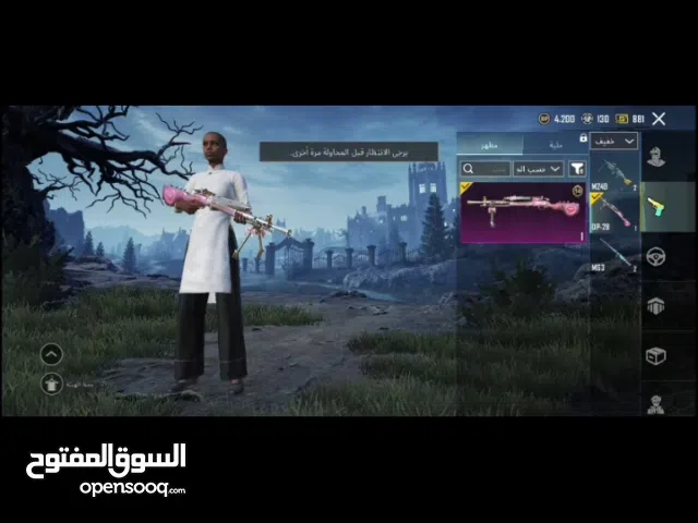 Pubg Accounts and Characters for Sale in North Sinai