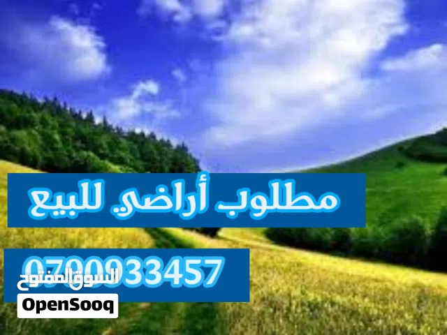 مطلوب أرض او أراضي للشراء مناطق الغور والبحر الميت وعمان والزرقاء