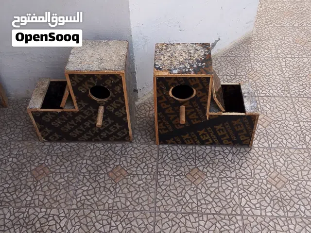 بياضات اللطيور الكبيره