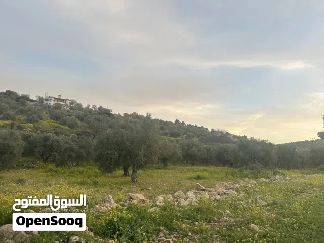 Mixed Use Land for Sale in Zarqa Al-Alouk