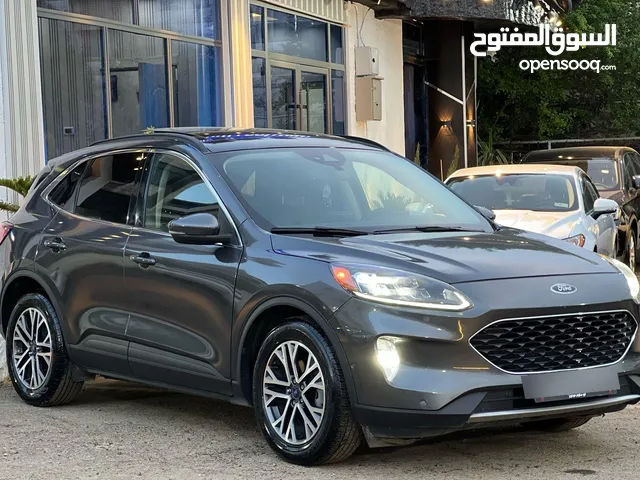 Used Ford Escape in Amman
