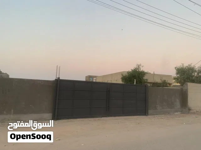 Farm Land for Sale in Basra Abu Al-Khaseeb