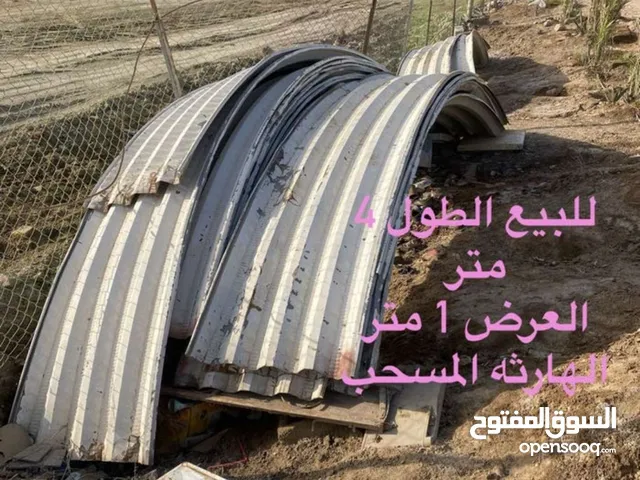 جينكو مقوس