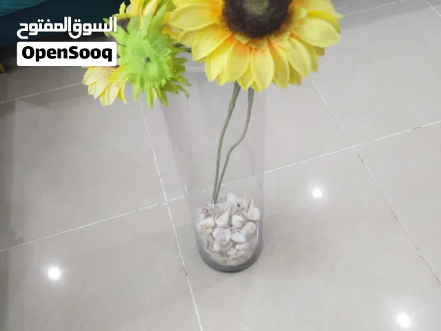 plants is good