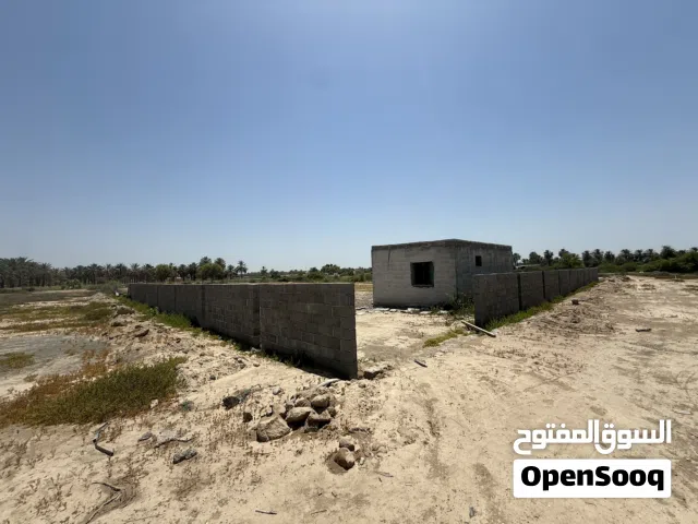 Farm Land for Sale in Al Batinah Al Masnaah