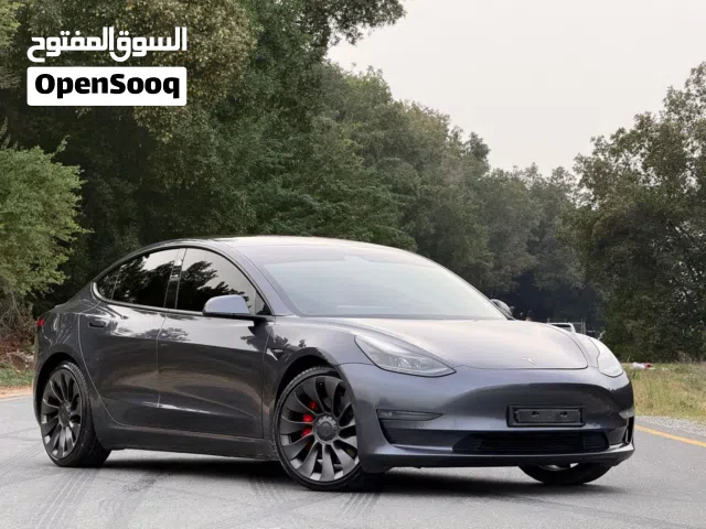 TESLA MODEL / 3 PERFORMANCE /GCC