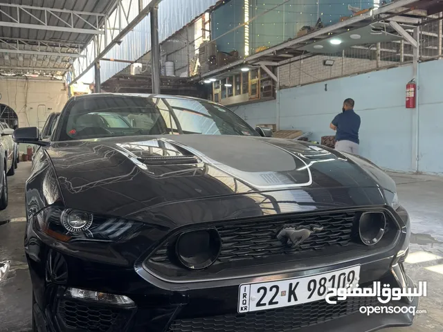 Used Ford Mustang in Baghdad