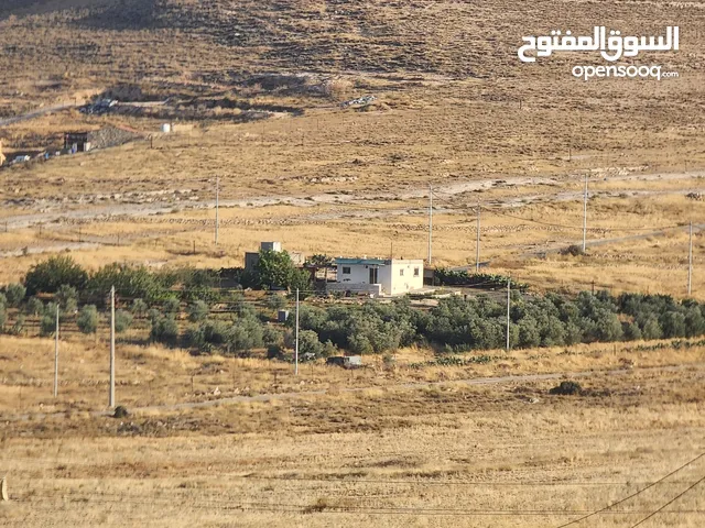 Farm Land for Sale in Tafila Al-Ayes