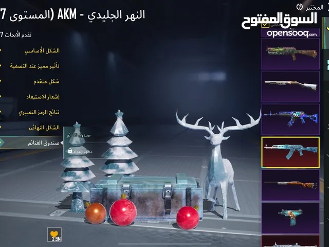 Pubg Accounts and Characters for Sale in Amman