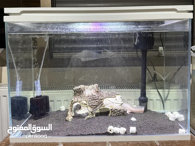 حوض سمك للبيع
