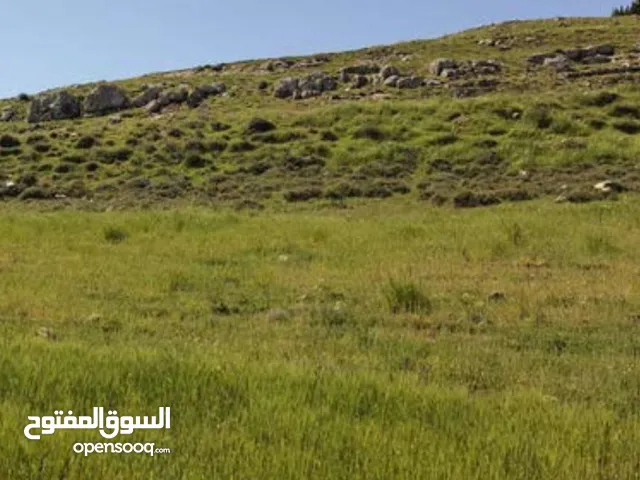 Farm Land for Sale in Amman Abu Al-Sous