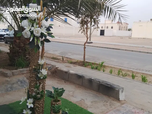 جمله وقطاعي شغل تنسيق حدائق واشكال ممرات وتنسيق اجمل اشكال الفاظات والورود والمجثمات جمله وقطاعي