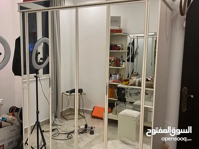 Cabınet full mirror