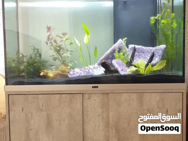حوض سمك نوع aqua atlantes بسعر مغري جدا