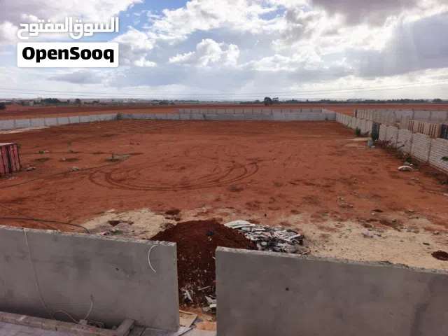 Farm Land for Sale in Benghazi Boatni