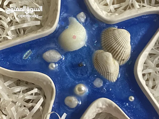 شمعة نجم البحر